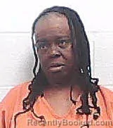 Mugshot of PAMELA DENISE NICHOLS booked in Haywood County, Tennessee on May 9, 2026