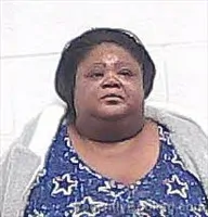 Mugshot of TERESA PALMER