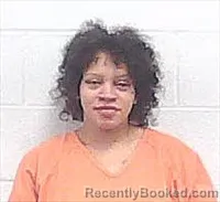 Mugshot of CYDNIE YVONNE SANDERS booked in Haywood County, Tennessee on April 17, 2026
