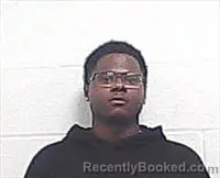 Mugshot of TODD JACOBY SPRINGFIELD booked in Haywood County, Tennessee on April 1, 2026