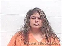 Mugshot of Amanda Carolyn Terry booked in Haywood County, Tennessee on August 29, 2026