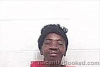 Mugshot of MARY FRANCES TAYLOR booked in Haywood County, Tennessee on April 25, 2026