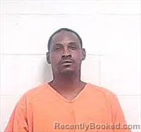Mugshot of RAY DELL WILLIAMS