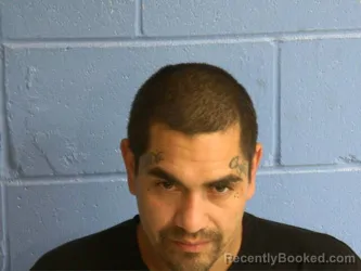 Mugshot of LIONEL TAMAYO