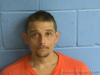 Mugshot of JAMES HERBERT DAVIS