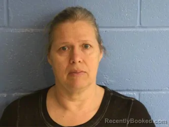 Mugshot of CYNTHIA ELAINE FULKS