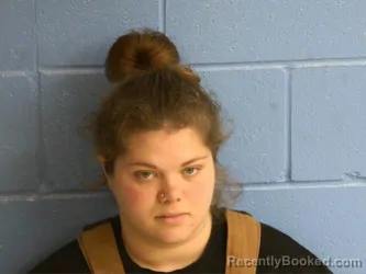 Mugshot of JAMIE NICOLE STANFIELD