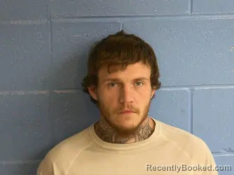 Mugshot of ACEY TAYLOR MCDOUGAL