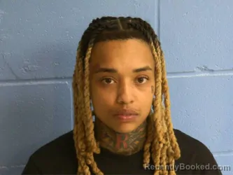 Mugshot of ROSSLEE RAMIREZ