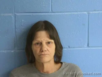 Mugshot of CINDY DARNELL NAULTY