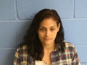 Mugshot of JESSELIS RODRIGUEZ