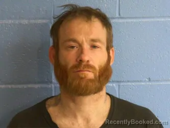 Mugshot of LEE ALLEN JOHNSON