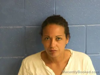 Mugshot of BATTISTA LYNN BOYER booked in Humphreys County, Tennessee on April 20, 2026