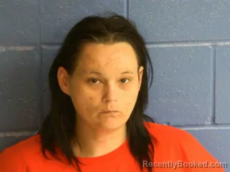 Mugshot of TIFFANY MAY TUMMINS booked in Humphreys County, Tennessee on April 20, 2026