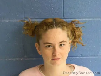 Mugshot of MADALYN ANN MARIE LEE booked in Humphreys County, Tennessee on May 6, 2026