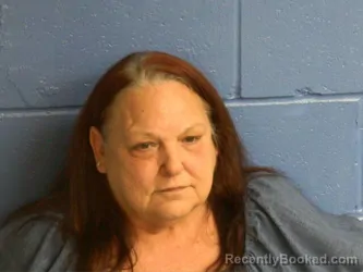 Mugshot of TERRESSA DAWN LYNN booked in Humphreys County, Tennessee on July 14, 2026