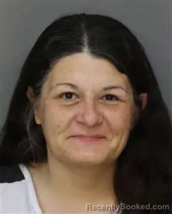 Mugshot of CRYSTAL BROCK MEADOWS booked in Jefferson County, Tennessee on March 30, 2026