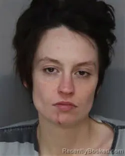 Mugshot of TOMMIE JO SHELTON booked in Jefferson County, Tennessee on March 19, 2026