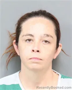 Mugshot of JESSICA VIRGINIA CHRISTINE ZOLNA booked in Jefferson County, Tennessee on June 2, 2026