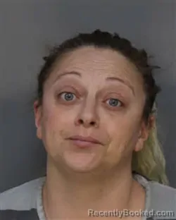 Mugshot of ASHLEY SUZANNE BROWN booked in Jefferson County, Tennessee on March 31, 2026