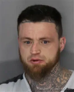 Mugshot of LOGAN WILLIAM ROBERT ELLIOTT