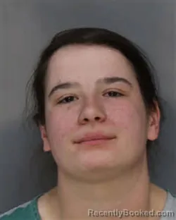 Mugshot of ANNA BECK HEFFINGTON booked in Jefferson County, Tennessee on March 18, 2026