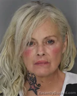 Booking photo from Jefferson County, Tennessee