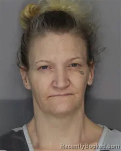 Mugshot of JENNIFER HOPE HARRELL