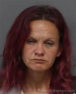 Mugshot of Dolly Victoria Parvin