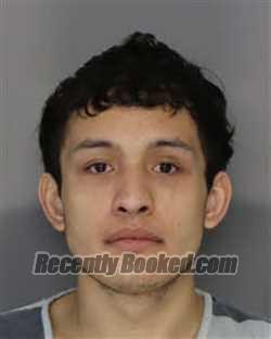 Booking photo from Jefferson County, Tennessee