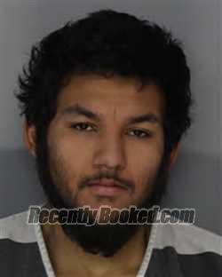 Booking photo from Jefferson County, Tennessee