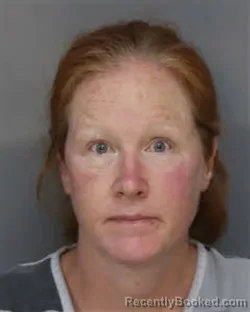 Mugshot of MELISSA ROSE LAPOINT booked in Jefferson County, Tennessee on April 24, 2026