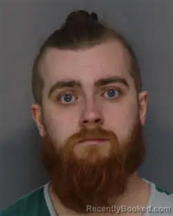 Mugshot of DONOVAN MICHAEL RAINES booked in Jefferson County, Tennessee on March 31, 2026