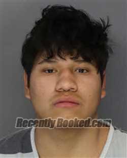 Booking photo from Jefferson County, Tennessee