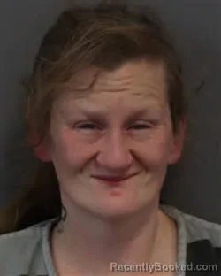 Booking photo from Jefferson County, Tennessee