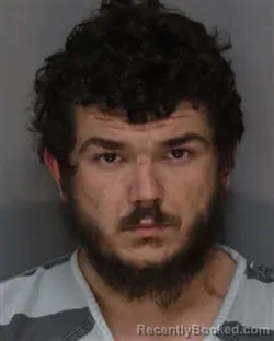 Mugshot of DAKOTA LEE- ALBERT GARDNER