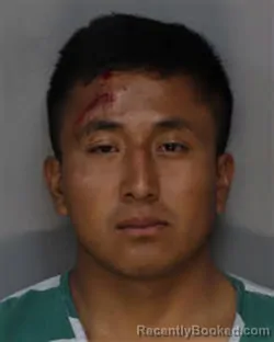 Mugshot of JOSE CELERINO PEREZ MORALES