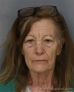 Mugshot of LAURIE LUCY CHRISTIANSEN booked in Jefferson County, Tennessee on March 15, 2026