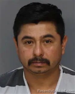 Mugshot of JOEL RUIZ TOLENTINO booked in Jefferson County, Tennessee on April 2, 2026