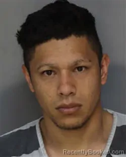 Mugshot of NELSON RONEY ALMEDARES booked in Jefferson County, Tennessee on April 2, 2026