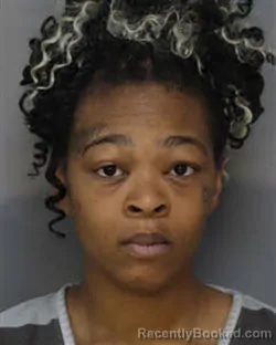 Mugshot of KELDETRIENA CANNON booked in Jefferson County, Tennessee on April 8, 2026