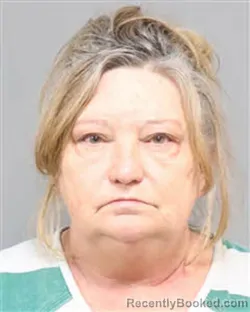 Mugshot of Christine Ann Collins booked in Jefferson County, Tennessee on August 22, 2026