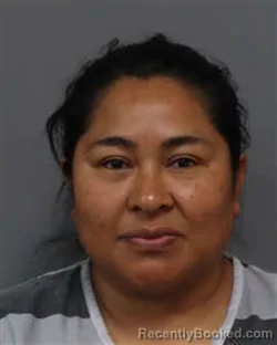 Mugshot of ZIOLA JULIETA CRUZ-MORALES booked in Jefferson County, Tennessee on April 21, 2026