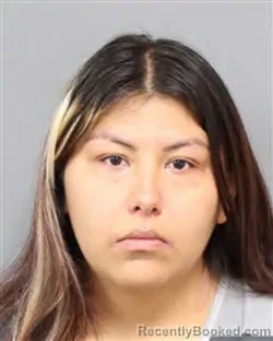 Mugshot of DAISY YADIRA REYES booked in Jefferson County, Tennessee on May 4, 2026