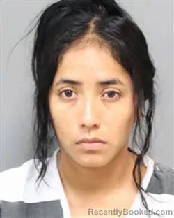 Mugshot of JACQUELINE MARIOLITA ESCALANTE-LOPEZ booked in Jefferson County, Tennessee on June 30, 2026