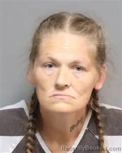 Mugshot of CASEY ELIZABETH FRAZIER booked in Jefferson County, Tennessee on August 1, 2026