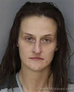 Mugshot of CASANDRA NICOLE SALTONSTALL booked in Jefferson County, Tennessee on April 2, 2026