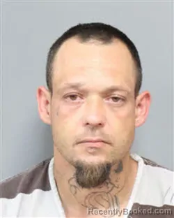 Mugshot of NATHANIEL COLBY SINGLETON booked in Jefferson County, Tennessee on May 8, 2026