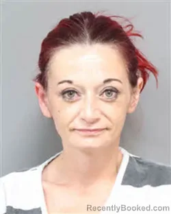 Mugshot of Crystal Dawn Johnson booked in Jefferson County, Tennessee on August 19, 2026