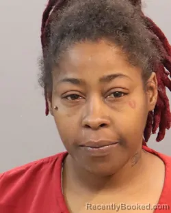 Mugshot of SHALENA DENISE WELLS